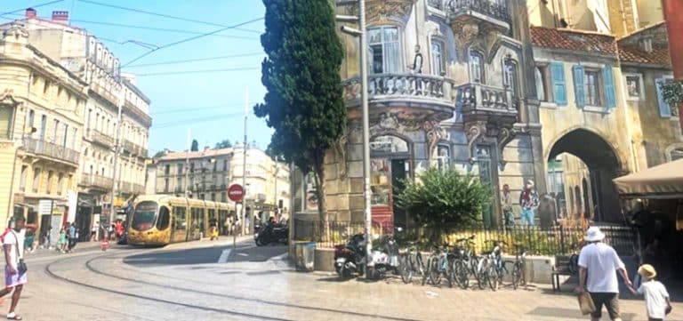 Navigating the French Language Summer School Experience in Montpellier